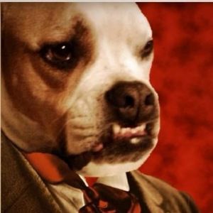 Meet your Posher, Kenneth